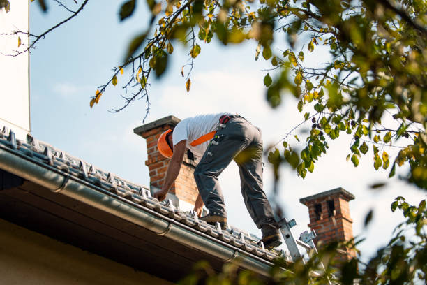 Best Slate Roofing Contractor  in Egon City, OR